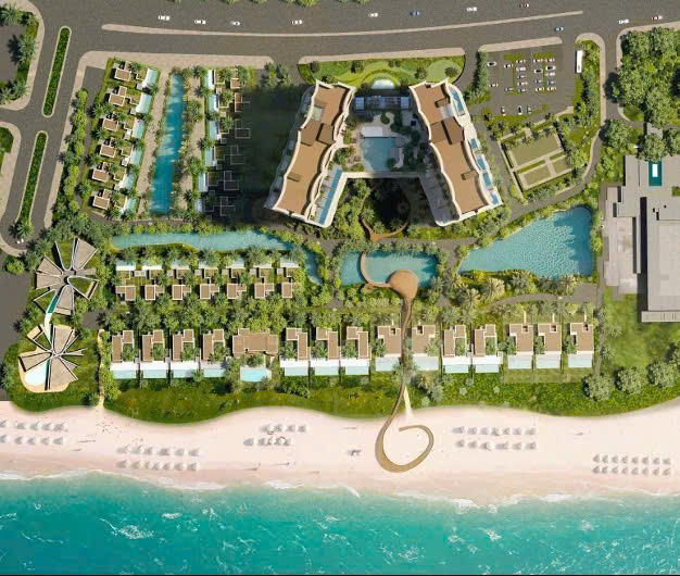Tin tức